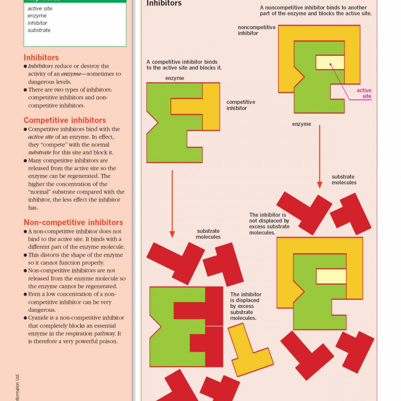 An Illustrated-Guide-to-Science- BIOLOGY ( sách màu)