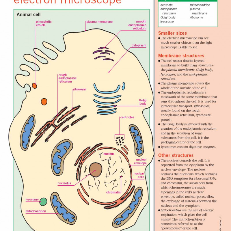 An Illustrated-Guide-to-Science- BIOLOGY ( sách màu)