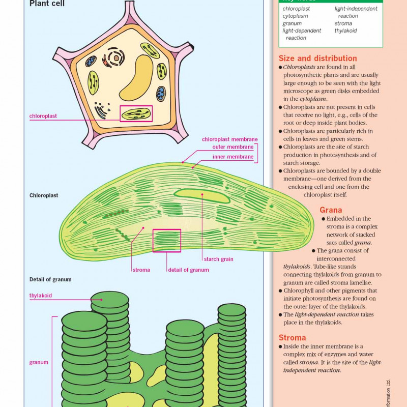 An Illustrated-Guide-to-Science- BIOLOGY ( sách màu)
