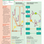 An Illustrated-Guide-to-Science- BIOLOGY ( sách màu)