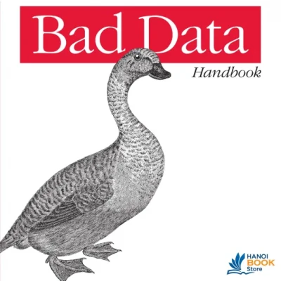Bad Data Handbook ( sách tiếng anh)