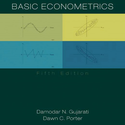 Basic Econometrics