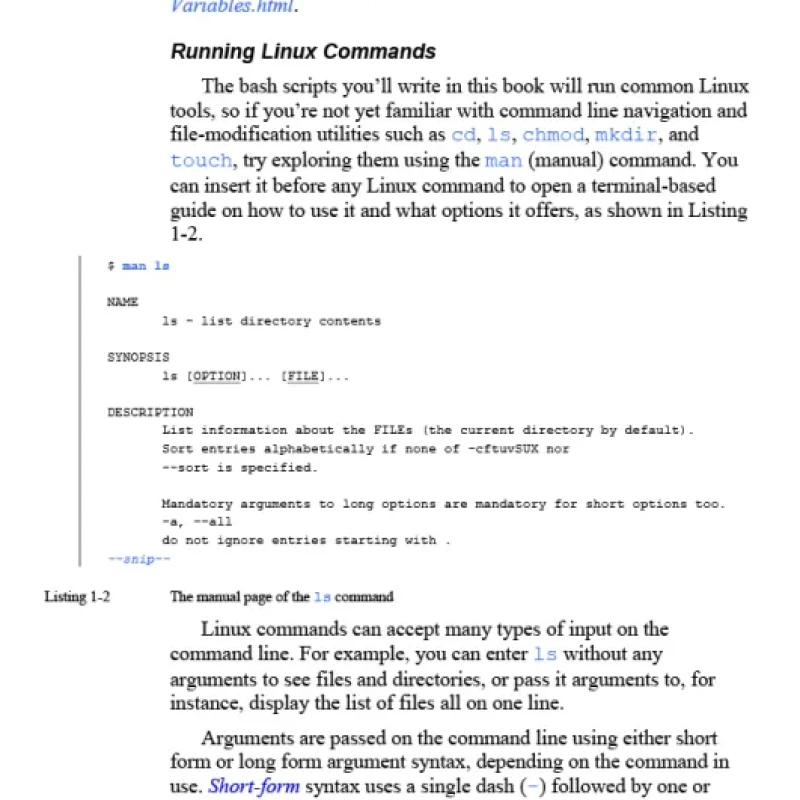 Black Hat Bash - Bash Scripting for Hackers and Pentesters - Hanoi Bookstore