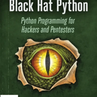 Black Hat Python Python Programming for Hackers and Pentesters, 2e - Hanoi Bookstore