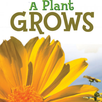 CALIFORNIA LEVELED SCIENCE READERS GRADE K ( sách màu )