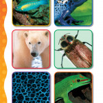 CALIFORNIA LEVELED SCIENCE READERS GRADE K ( sách màu )