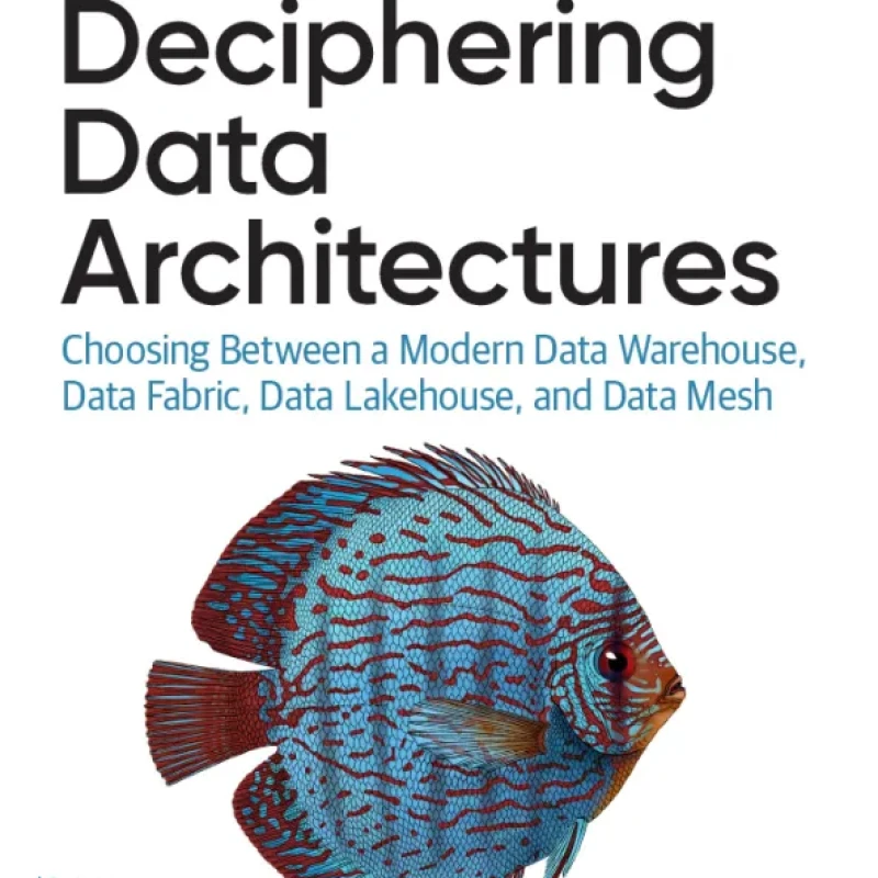 Deciphering Data Architectures