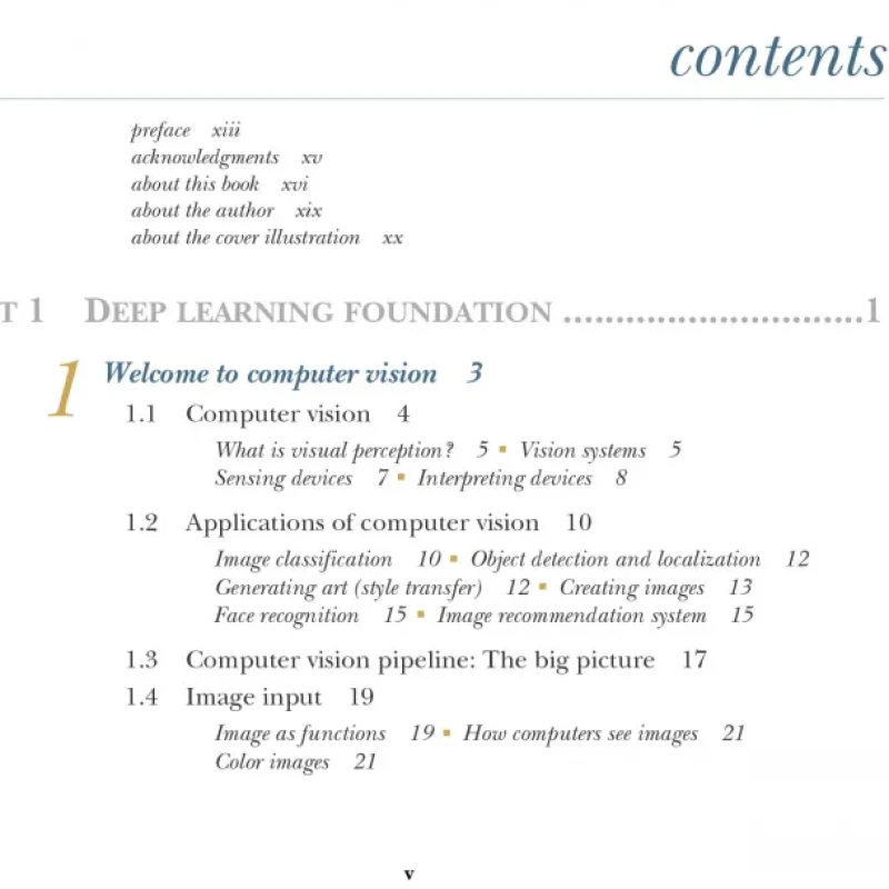 Deep Learning for Vision Systems