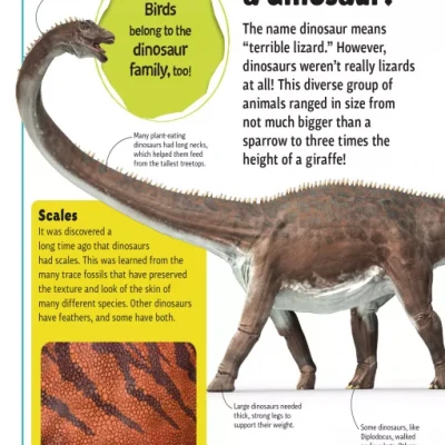 DINOSAURS A TO Z (Sách màu)