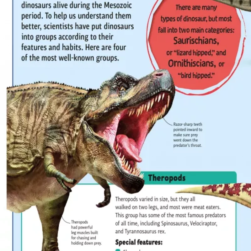 DINOSAURS A TO Z (Sách màu)