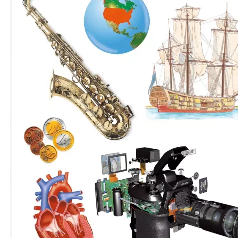 DK Childrens Illustrated Encyclopedia (Sách màu)