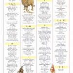 DK Childrens Illustrated Encyclopedia (Sách màu)
