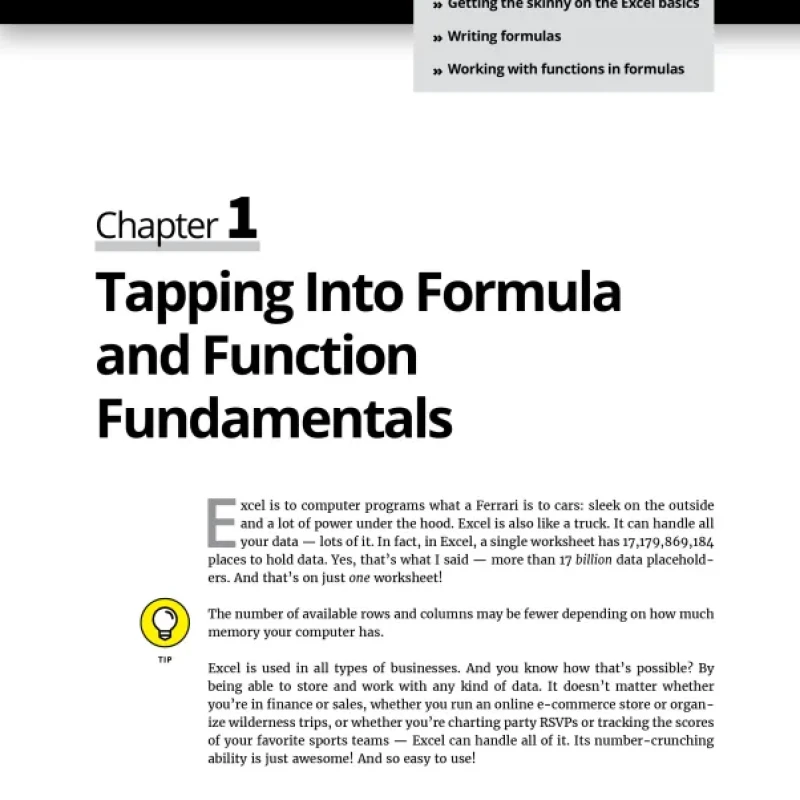 Excel Formulas Functions For Dummies, 6th Edition