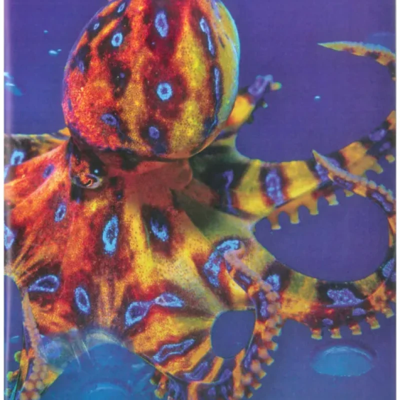 Explore our World 5 - Student book