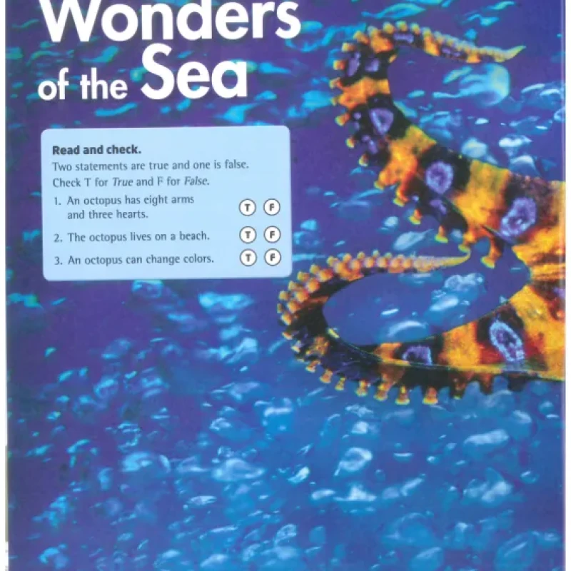 Explore our World 5 - Student book