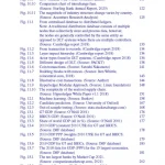 Financial Services in the Twenty-First Century