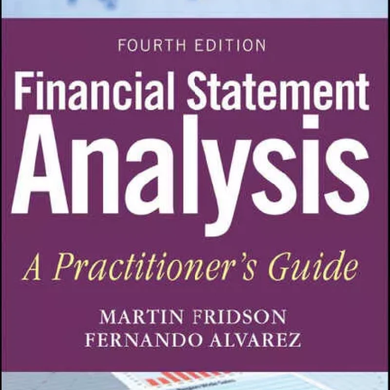 Financial Statement Analysis