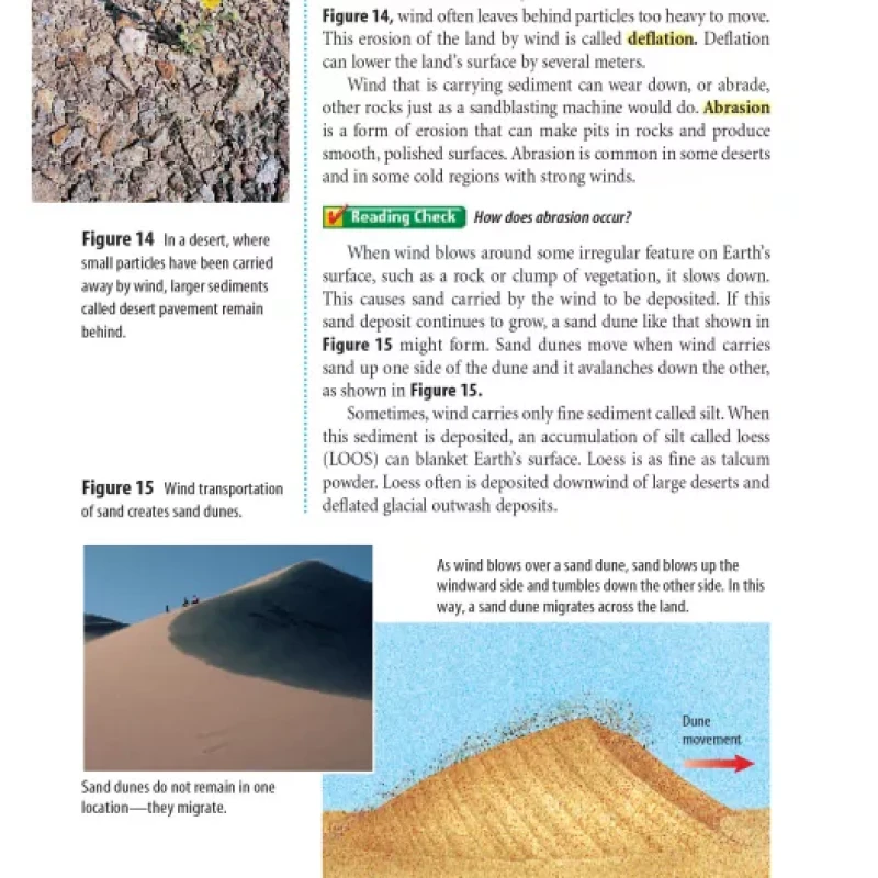 Glenco science red level part 2 (sách màu)