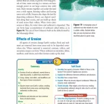 Glenco science red level part 2 (sách màu)