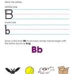 Kindergarten Basic Skills
