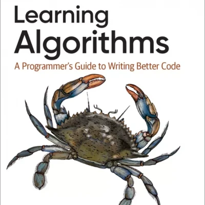 Learning Algorithms A Programmers Guide to Writing Better Code