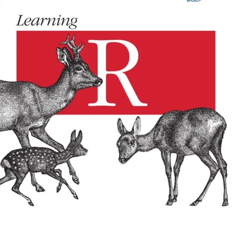 Learning R A Step-by-Step Function Guide to Data Analysis