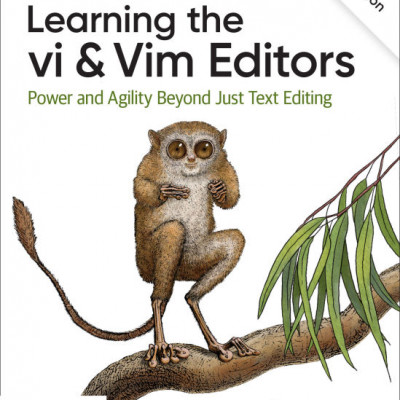 Learning the vi and Vim Editors Power and Agility Beyond Just Text Editing (sách gia công)