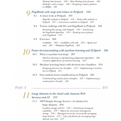 Mastering Large Datasets with Python