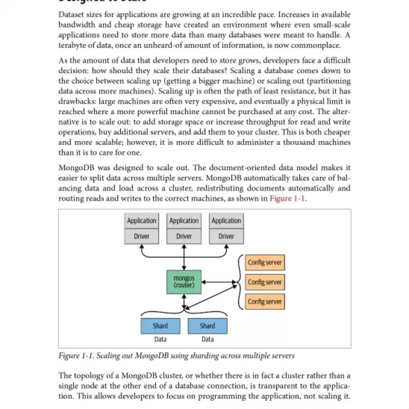 MongoDB The Definitive Guide