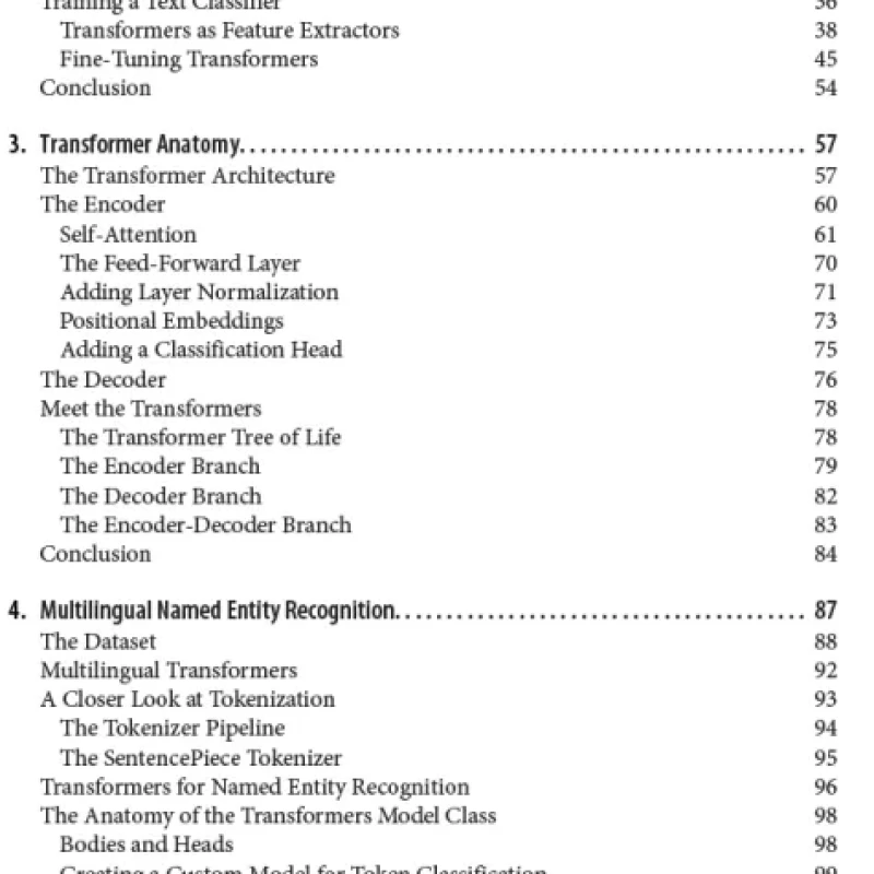Natural Language Processing with Transformers, Revised Edition