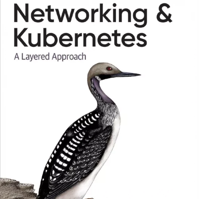 Networking and Kubernetes