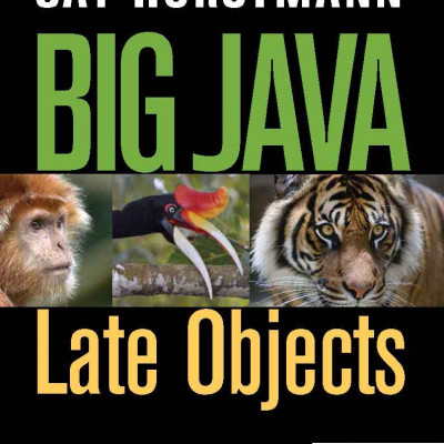 Big Java Late Objects