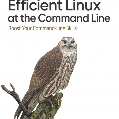 Efficient Linux at the Command Line