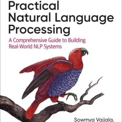 Practical Natural Language Processing A Comprehensive Guide to Building Real-World NLP Systems