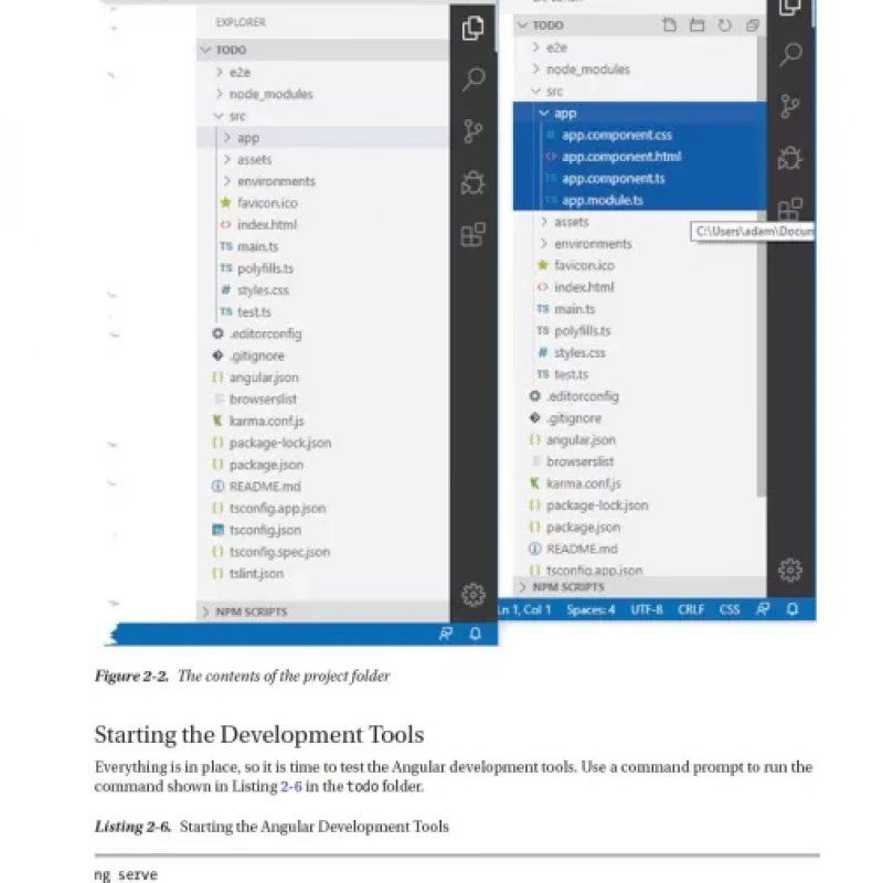 Pro Angular 9 Build Powerful and Dynamic Web Apps