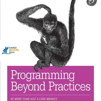 Programming Beyond Practices