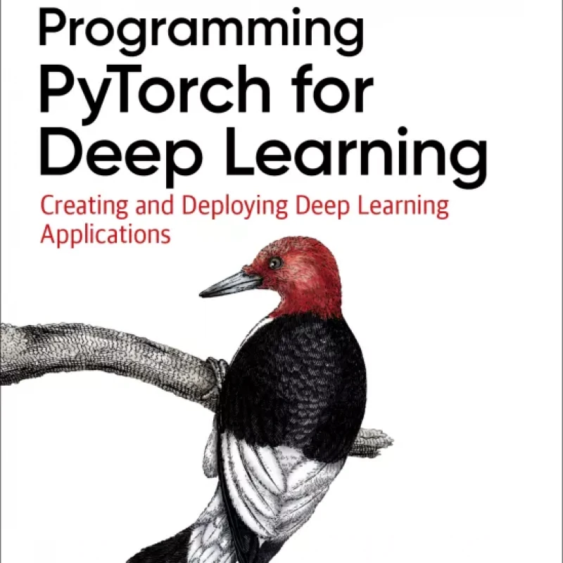 Programming PyTorch for Deep Learning Creating and Deploying Deep Learning Applications
