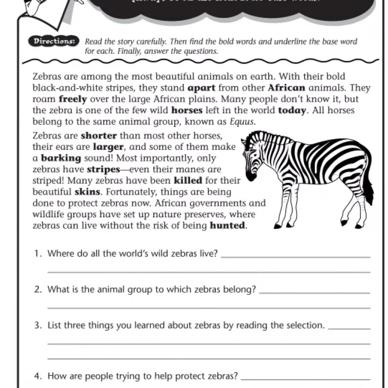 Reading Comprehension Skills and Strategies Level 3