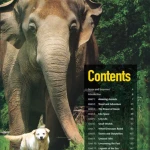 Reading Explorer Student Book 1 (Sách màu)