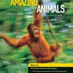 Reading Explorer Student Book 1 (Sách màu)