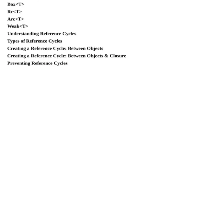 Rust In Practice A Programmers Guide