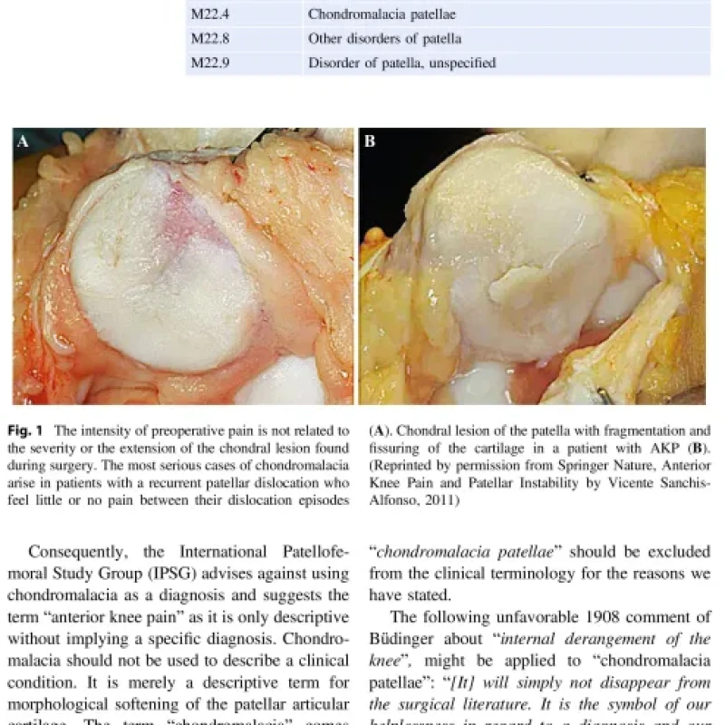 Sách Anterior Knee Pain And Patellar Instability, 3rd Edition