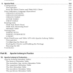 Sách Apache Iceberg The Definitive Guide Data Lakehouse Functionality