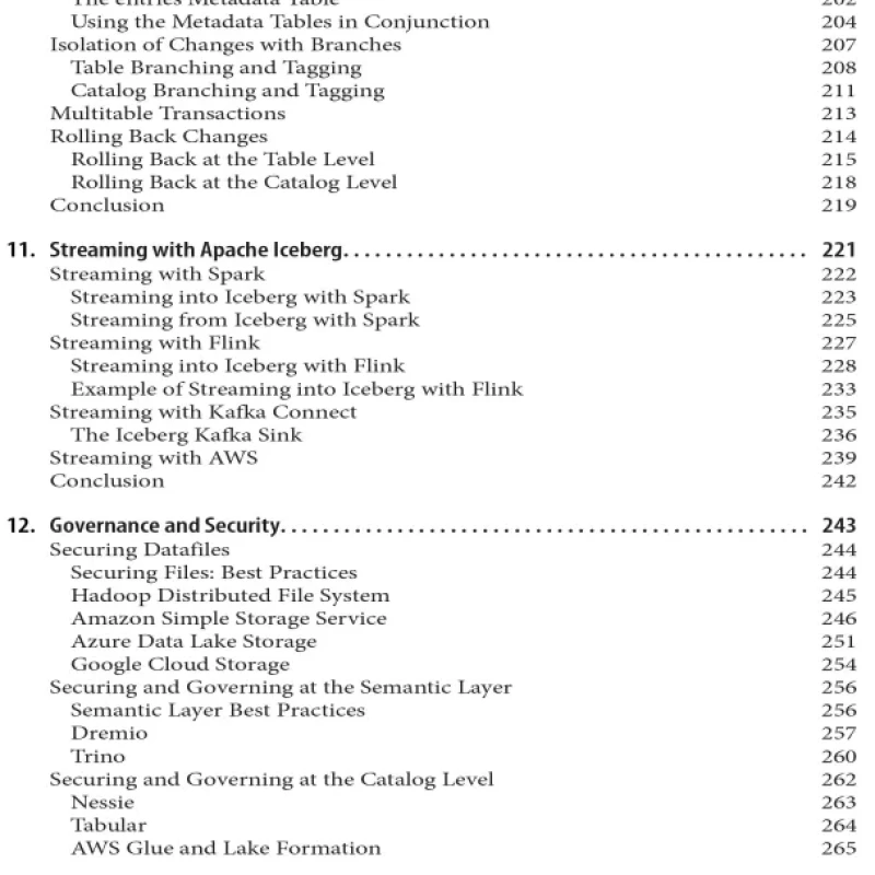 Sách Apache Iceberg The Definitive Guide Data Lakehouse Functionality
