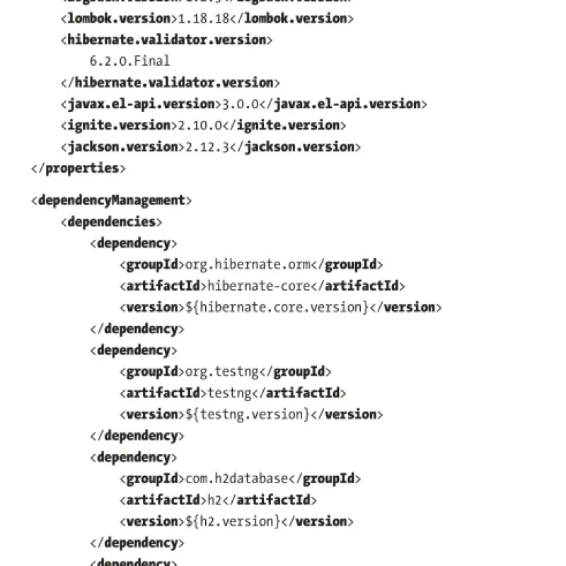 Sách Beginning Hibernate 6 Java Persistence from Beginner to Pro