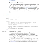 Sách Black Hat Bash - Bash Scripting for Hackers and Pentesters