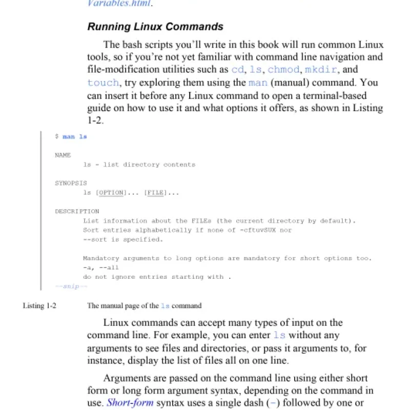 Sách Black Hat Bash - Bash Scripting for Hackers and Pentesters