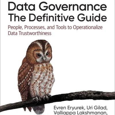 Sách Data Governance The Definitive Guide