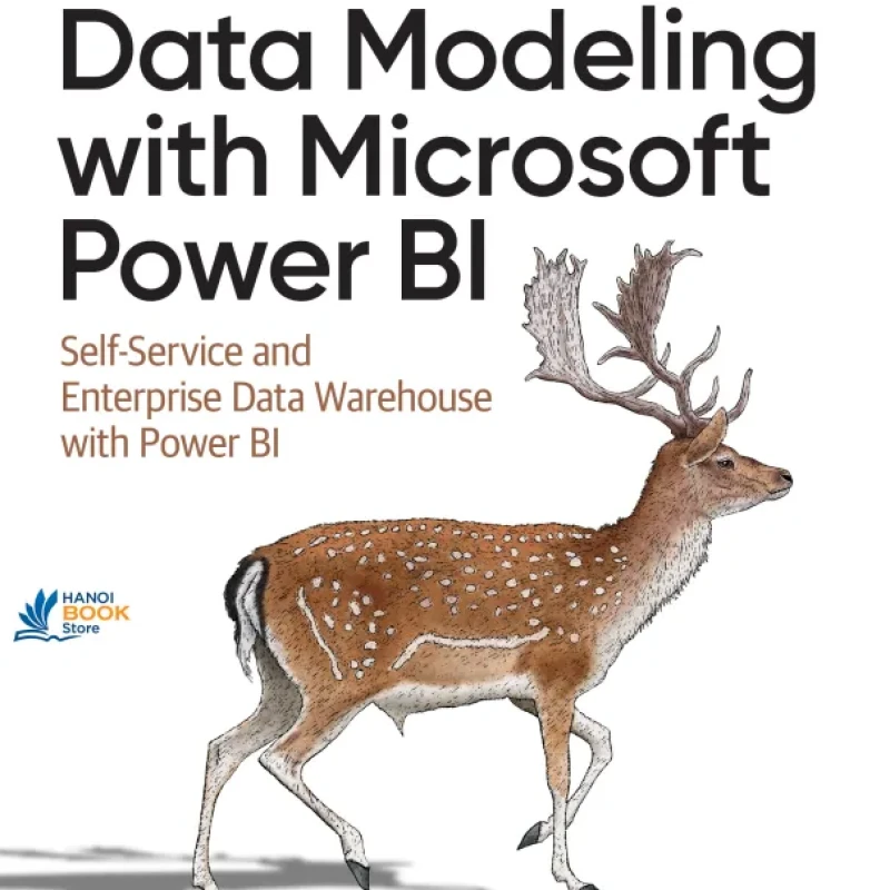 Sách Data Modeling with Microsoft Power BI Self-Service and Enterprise Data Warehouses with Power BI