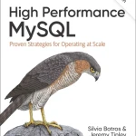 Sách High Performance MySQL Proven Strategies for Operating at Scale, 4th Edition - Hanoi Bookstore